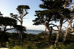 Pebble Beach view on Day 3